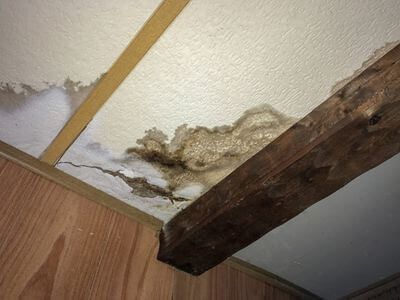 Professional water damage restoration services in Albany - RiseSecure Group